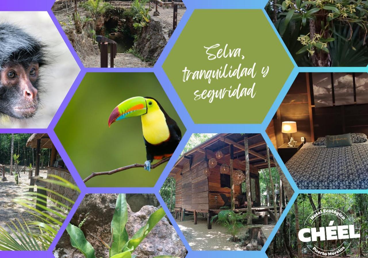 Cheel Lodge & Camping Puerto Morelos Bagian luar foto