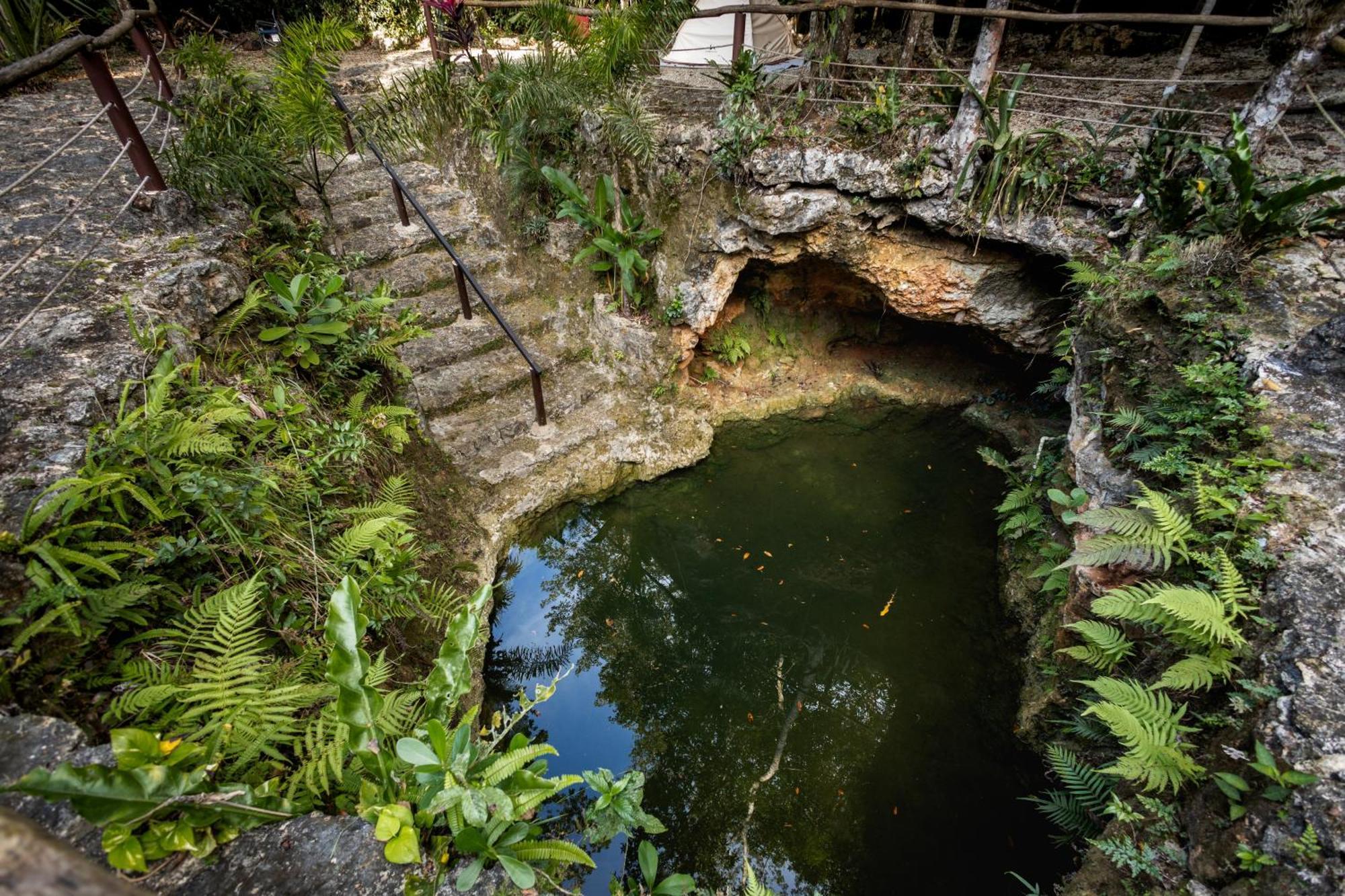 Cheel Lodge & Camping Puerto Morelos Bagian luar foto