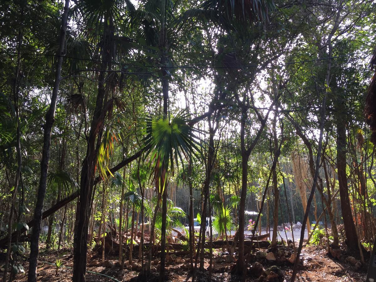 Cheel Lodge & Camping Puerto Morelos Bagian luar foto