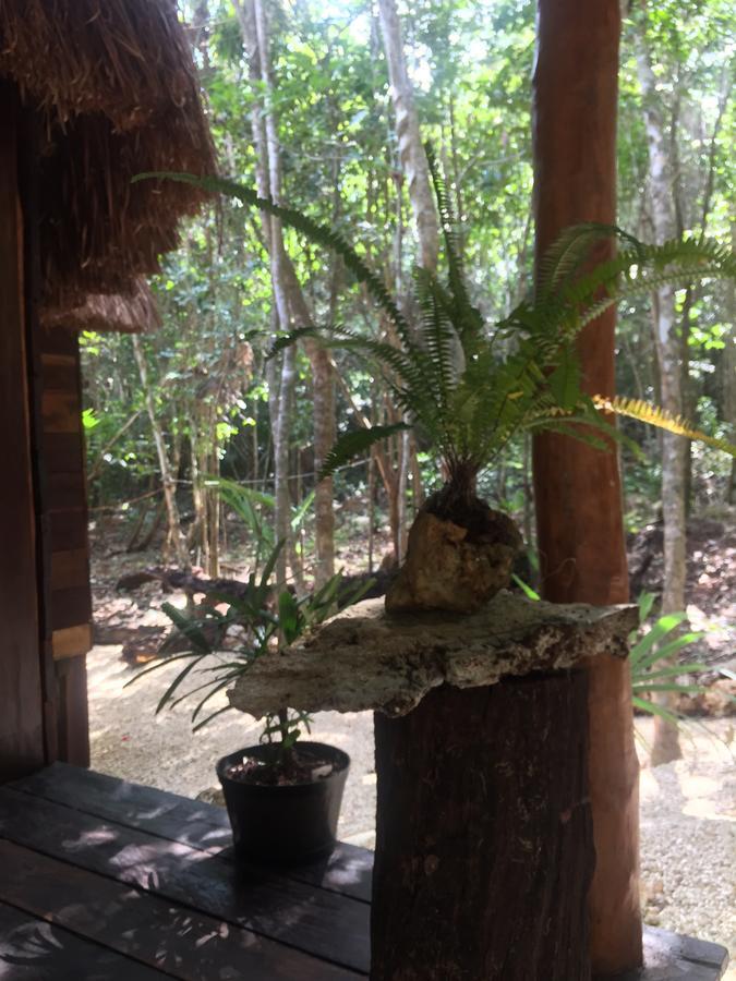 Cheel Lodge & Camping Puerto Morelos Bagian luar foto