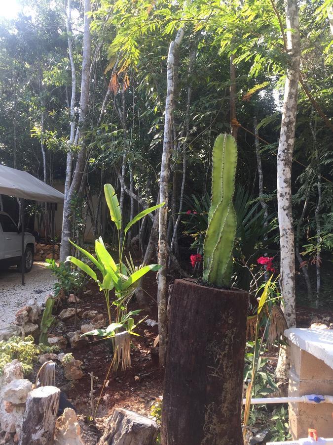Cheel Lodge & Camping Puerto Morelos Bagian luar foto