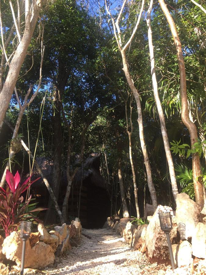 Cheel Lodge & Camping Puerto Morelos Bagian luar foto
