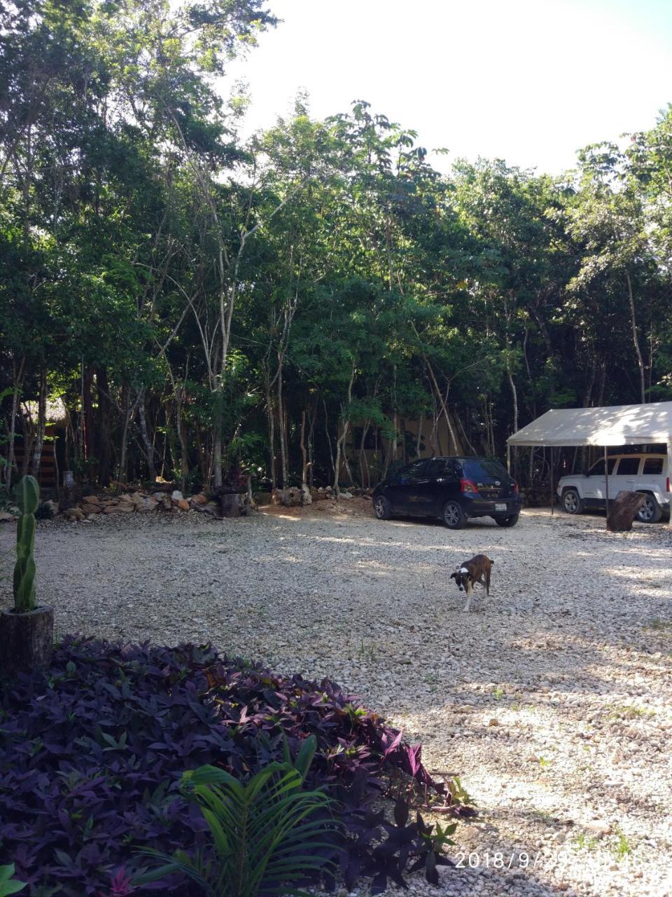 Cheel Lodge & Camping Puerto Morelos Bagian luar foto